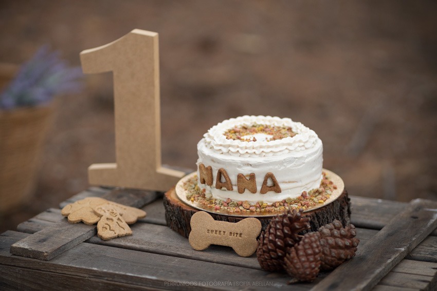 tarta-de-cumpleaños-para-perro