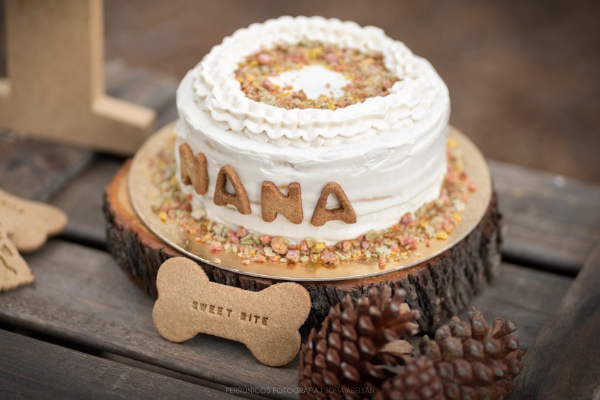 tarta-para-perros