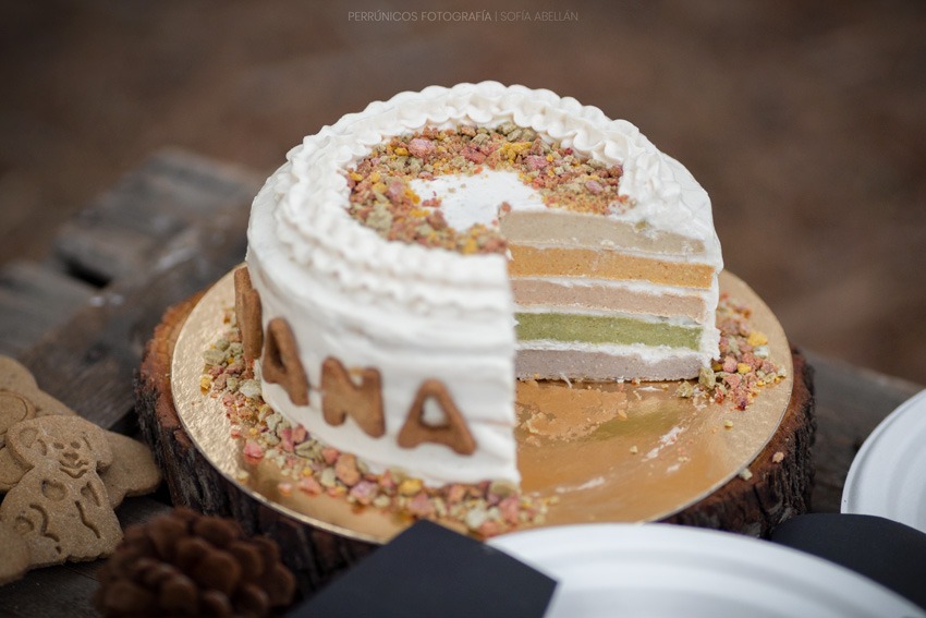 interior-tarta-de-perros