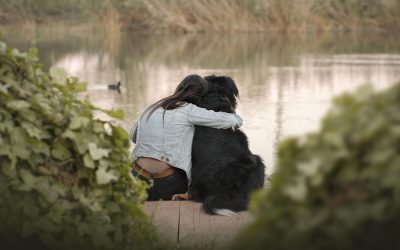 Cuando muere un perro