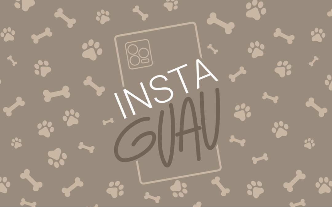 InstaGuau, crea las mejores fotos de tu perro solo con tu teléfono móvil