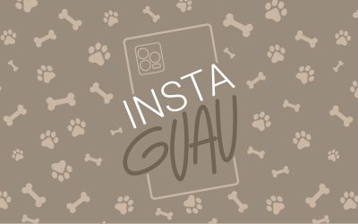 InstaGuau, crea las mejores fotos de tu perro solo con tu teléfono móvil